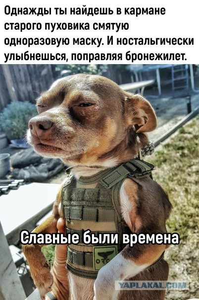 Госдума приняла поправки в закон о воинской службе, где снимаются ограничения для прохождения службы по контракту