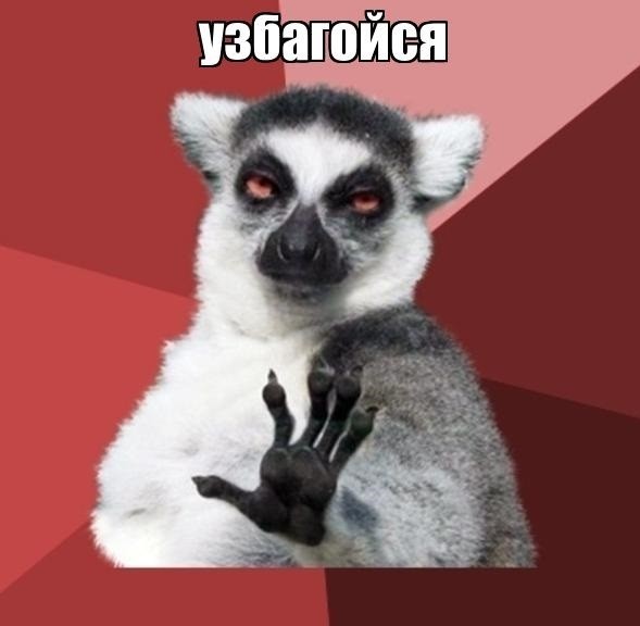 Знакомьтесь - сифаки