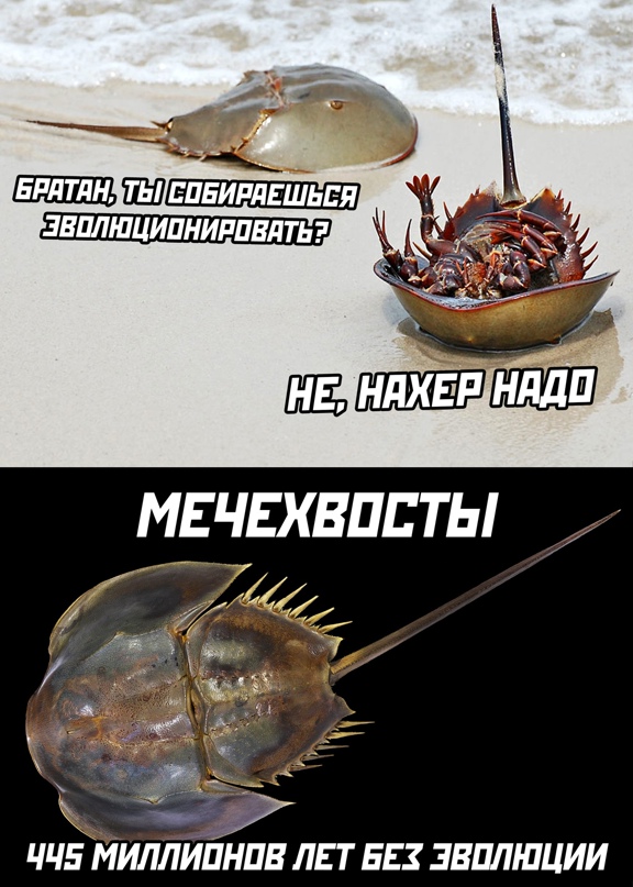 Картинки и мемы для настроения - 15