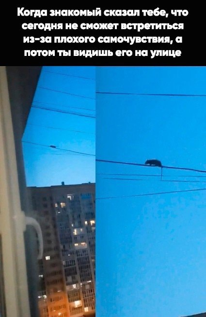 Так себе картинки 09.09.22