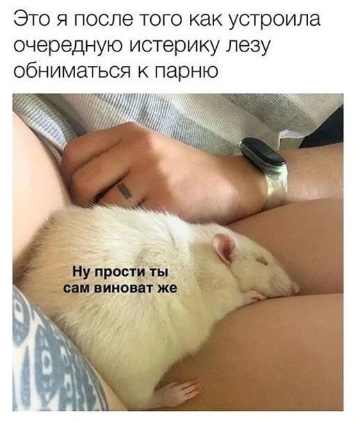 Баянисто-небаянистый юмор 24.10.22