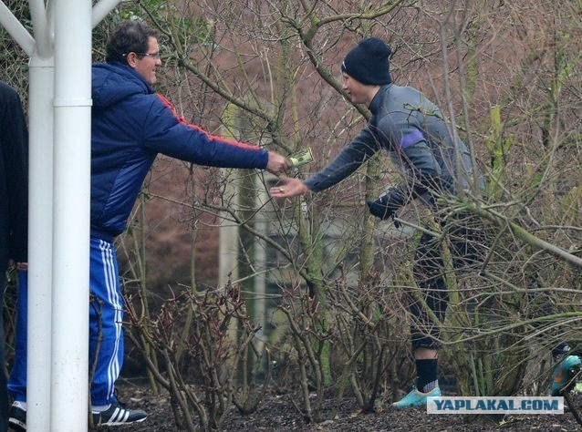 Аршавин навестил сборную