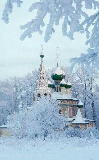 Прикольные и просто красивые картинки 03.01.2023