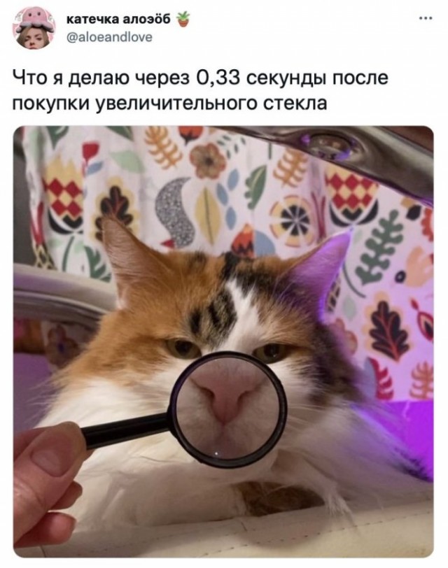 Немного картинок для настроения - 127