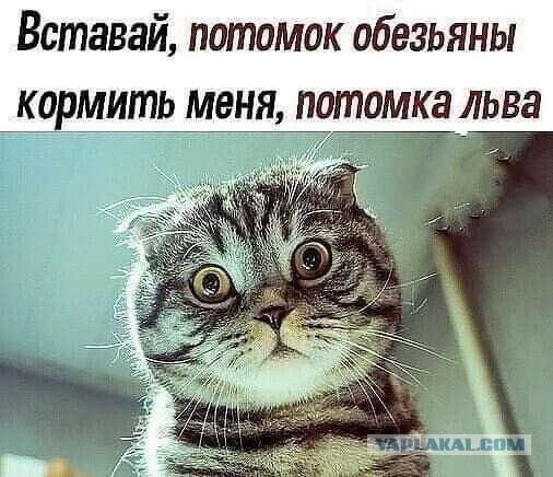 То, что видели мои друзья. Отправленные картинки за несколько лет