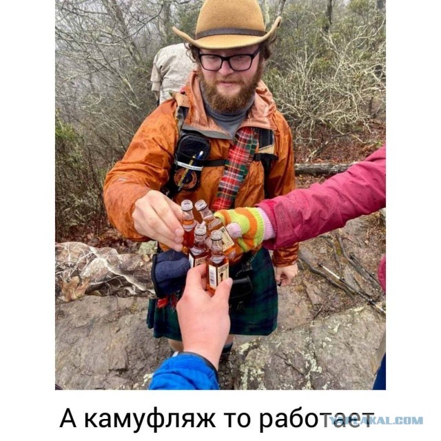 Подборка картинок