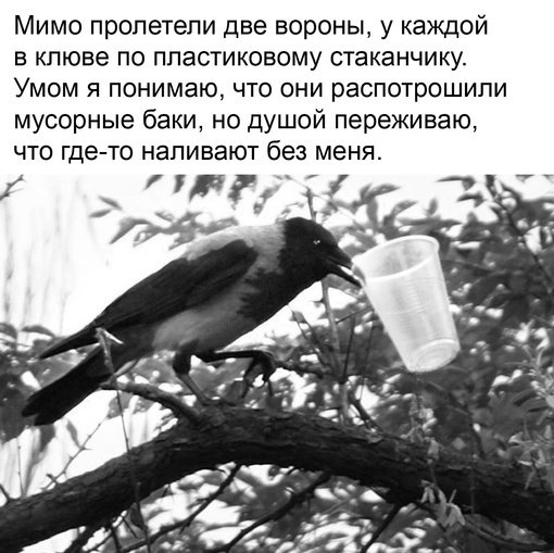 Так себе картинки 14.09.23