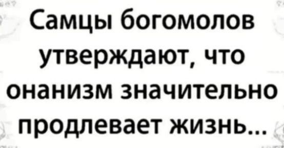 Забавные комментарии из социальных сетей 06.11.23