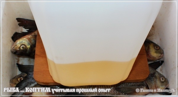 Рыба ... коптим ...