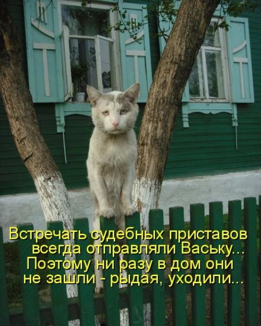 Картинки и буквы 17.06.2024