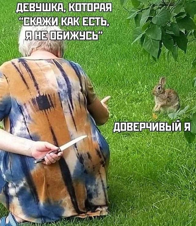 Немного забавных картинок 27.07.24