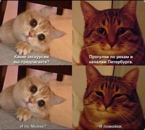 Пятачок, стреляй!