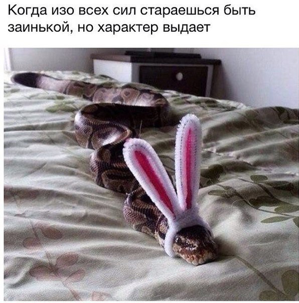 Картинки вечером в четверг