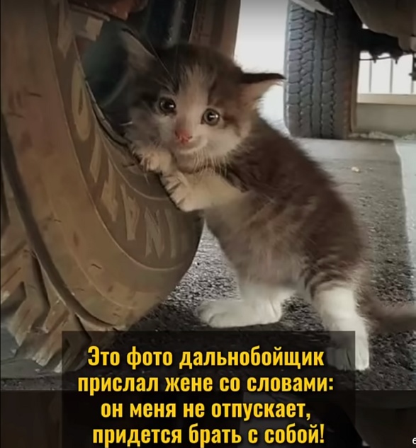 Так всякие картинки