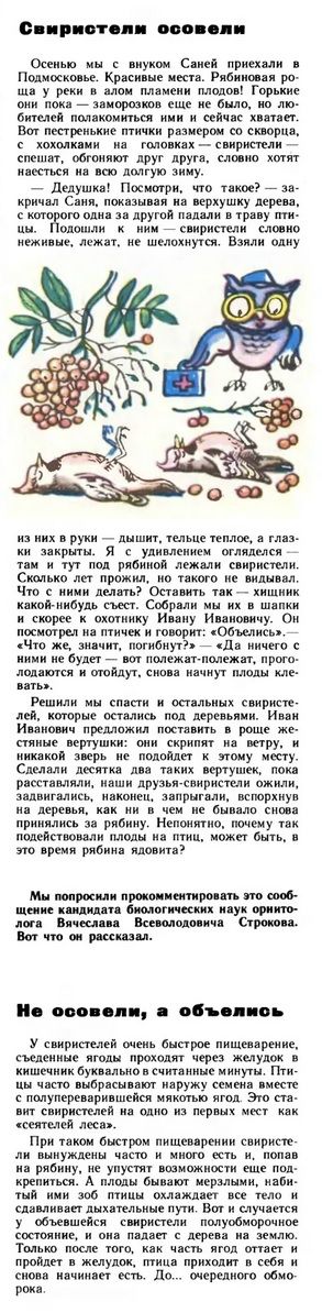 «Утро с пацанами 1 января»