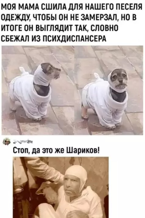 Картиночки, баянчики 21 марта