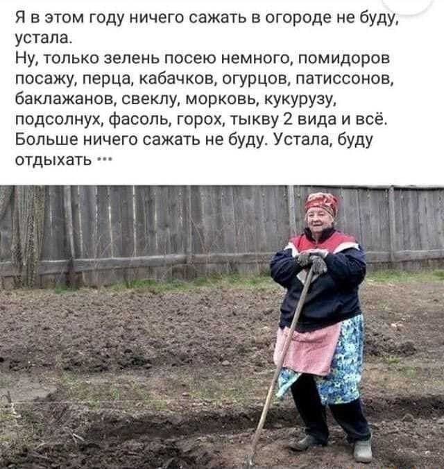 Аспарагусы