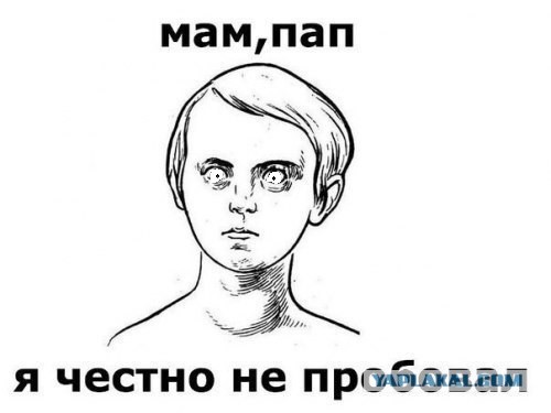 Ели (5 пикч)