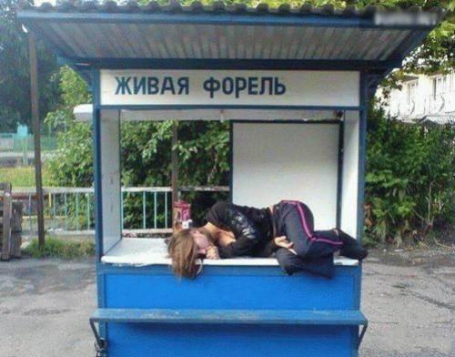 Картинки, объявления - 2