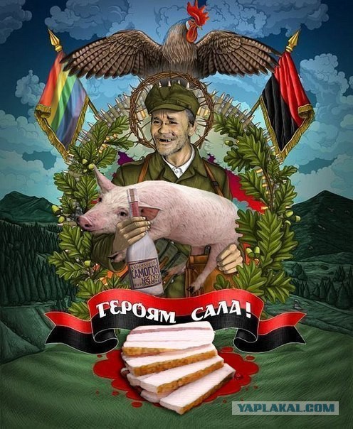 Cиловая операция в Славянске.