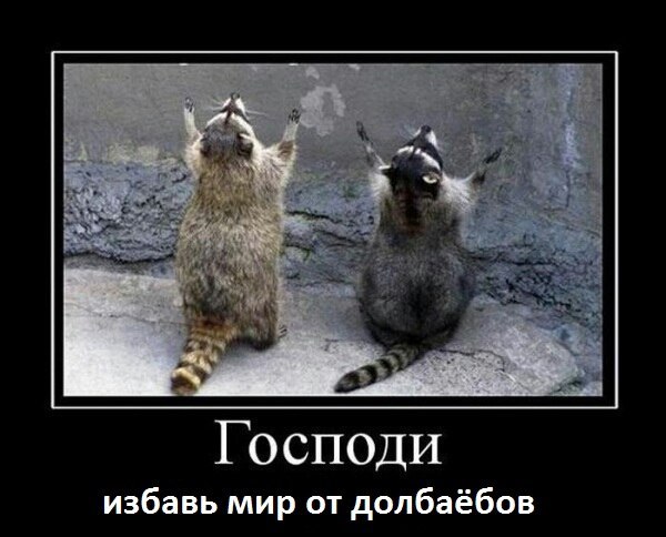 В чем сила брат...(о русских)