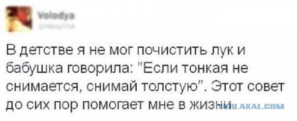 Немного смешных картинок из сети
