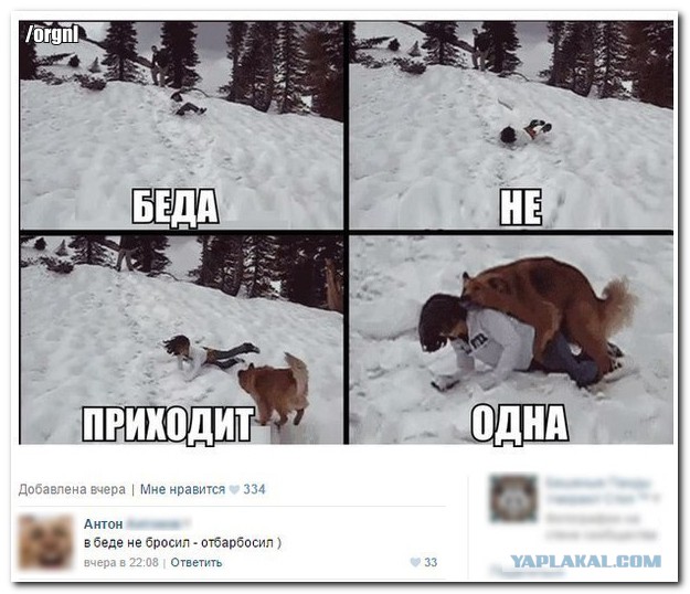Смешные комментарии из социальных сетей