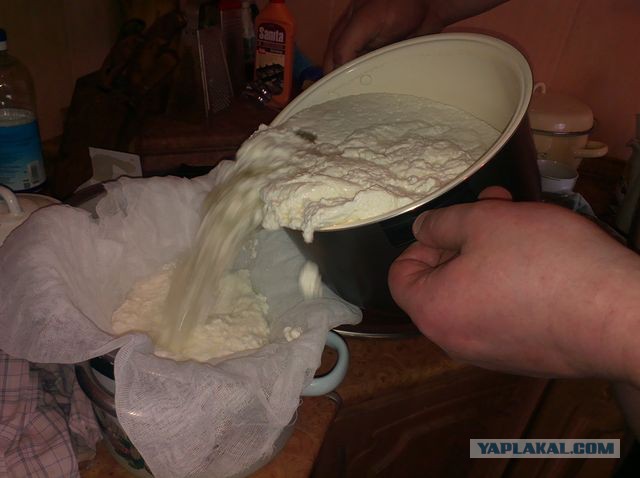Как зарукожопить домашний сыр