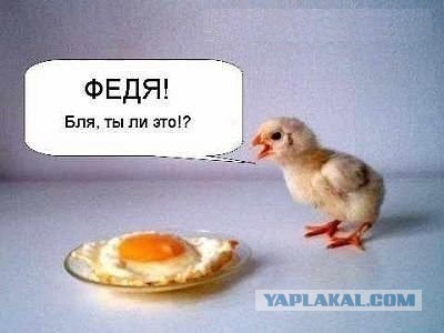Так..картинки на понедельничек))