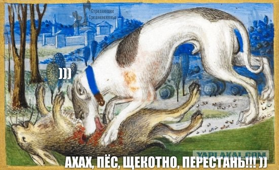 Весёлое Средневековье