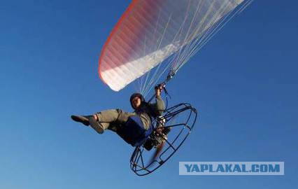 Знакомьтесь, Lily