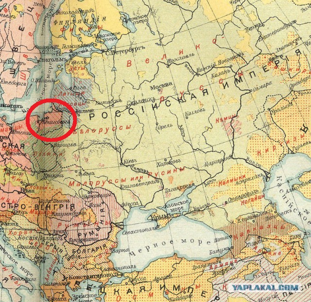Мнения жителей Львова и Донецка на войну