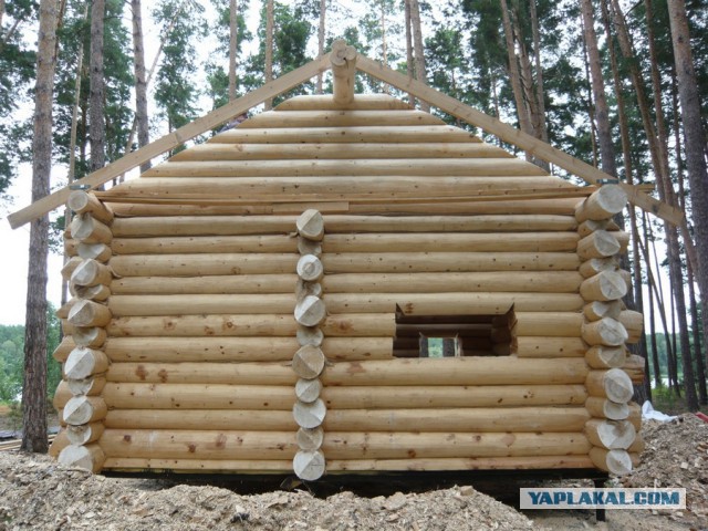 Строительство рубленной бани из кедра