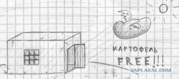 Веселые картинки