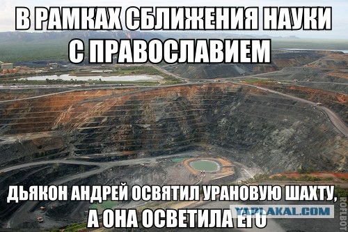 Веселые картинки