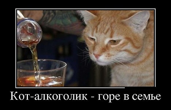 Демотиваторы на Субботу