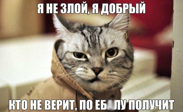 Картинки  из сети