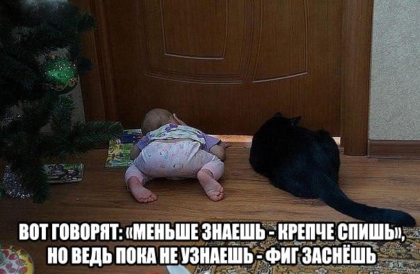 Картинки и демотиваторы