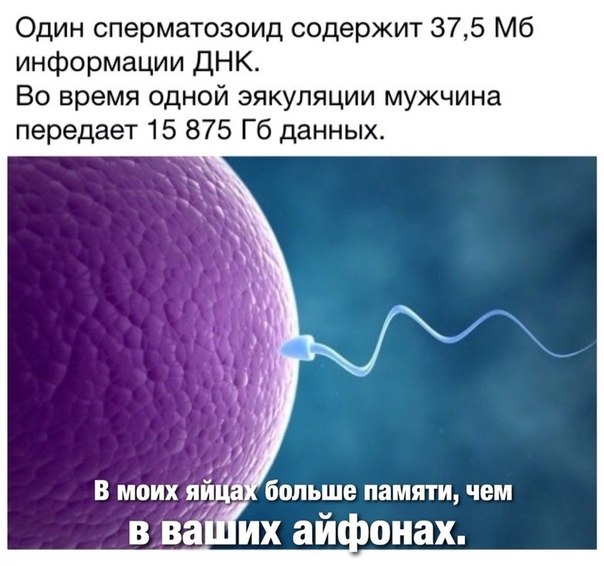 Депрессивный понедельник