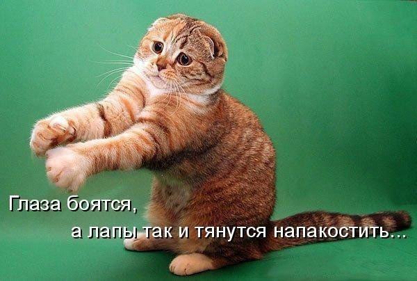 Отовсюду понемногу