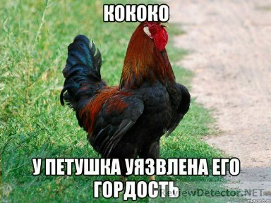 Кадыров опубликовал видео с извинениями от депутат