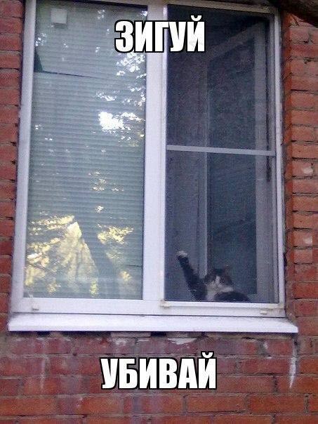 Злые шутки или минутка сарказма на ЯП-е, 16+