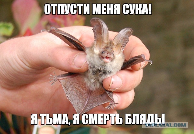 Один день в психиатрической клинике