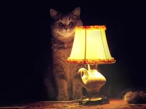 Стальные шары