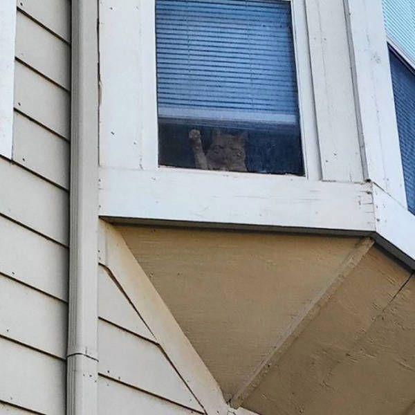 Подборка интересных и веселых картинок