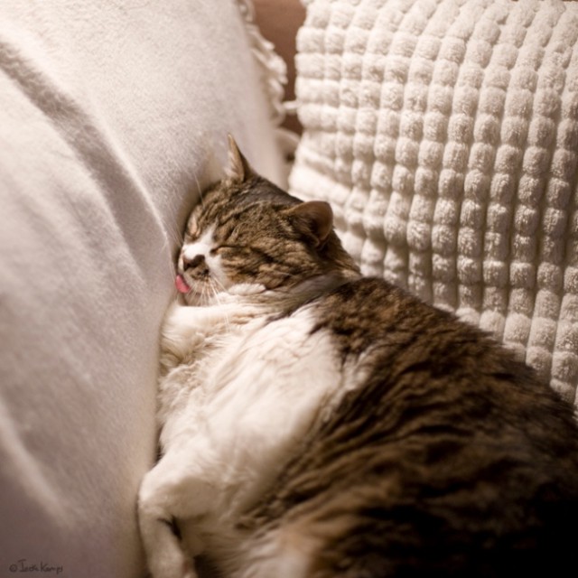 Подборка интересных и веселых картинок