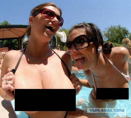 С Днем Рождения, ЯП! 12 лет