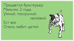 Алабай, год назад и сейчас