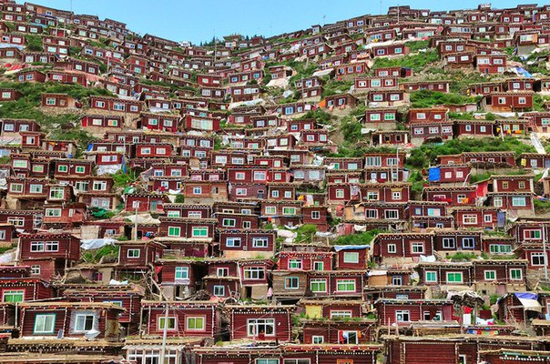 Разные фото. Прикольные и красивые