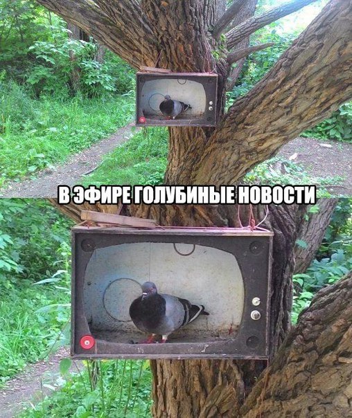 Подборка картинок